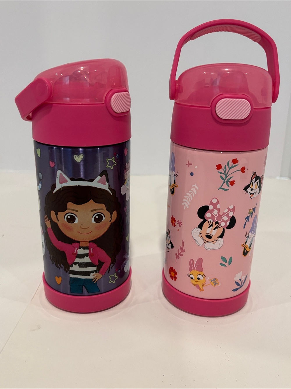 Thermos Kids Vacuum Insulated water bottle , Minnie Mouse & Gabby’s Dollhouse